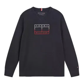 Tommy Hilfiger Bordado Bandera Junior Sudadera